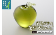 東京都新島産 新島ガラス 葉付きりんご