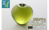 東京都新島産 新島ガラス りんご