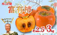 先行予約 富有柿  約2.5～3kg 秀優混合 サイズ混合 【2026年11月中旬～12月下旬頃発送予定】～こんな美味しいの「食べるのはじめてや!」の感動をお届けします。～ / 柿 富有柿 和歌山県 かつらぎ町 秋の味覚 フルーツ 果物 甘い 美味しい 旬【G-art044】