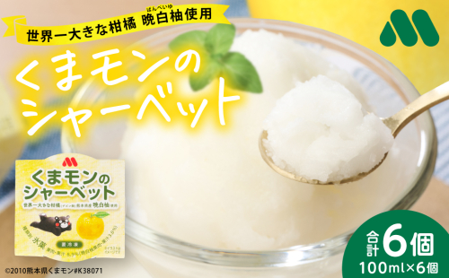 【先行予約】 くまモンのシャーベット 世界一大きな柑橘(ザボン類) 熊本県産 晩白柚 使用 アイス 氷菓子 果汁 果物 熊本 八代 国産 スイーツ くまモン 【2026年1月より順次発送】 2445540 - 熊本県八代市