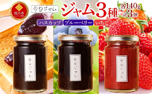 【ふるさと納税】ジャム3種セット 各1個 ハスカップジャム ブルーベリージャム いちごジャム  今日ジャム 北海道産 自家製 パン ヨーグルト 朝食 濃厚 甘い デザート スイーツ おやつ グルメ ご褒美 贅沢 ギフト 送料無料 北海道 滝川市 2445544 - 北海道滝川市