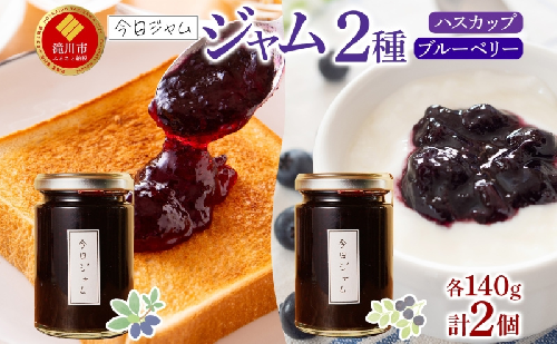 【ふるさと納税】ジャム2種セットA 各1個 ハスカップ ジャム ブルーベリージャム  今日ジャム 北海道産 自家製 パン ヨーグルト 朝食 濃厚 甘い デザート スイーツ おやつ グルメ ご褒美 贅沢 ギフト 送料無料 北海道 滝川市 2445546 - 北海道滝川市