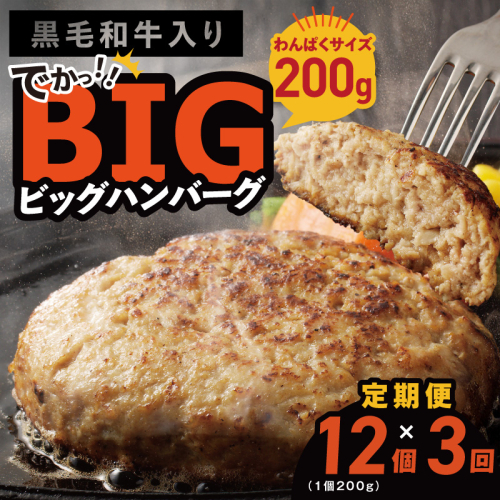 【定期便】黒毛和牛入り BIGハンバーグ（200g×12個）全3回 【毎月配送コース】 099Z412 2445651 - 大阪府泉佐野市