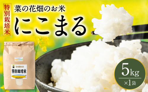 【令和7年産】 菜の花畑のお米 「特別栽培米」 5kg （5kg×1袋） にこまる 米 お米 精米 白米 ごはん ご飯 熊本 2445685 - 熊本県八代市