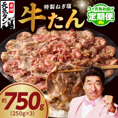 【定期便】ねぎ塩 牛たん 750g 小分け 250g×3【牛タン 牛肉 焼肉用 薄切り 訳あり サイズ不揃い 2026年1月＆4月発送 全2回】 099Z425 2445798 - 大阪府泉佐野市