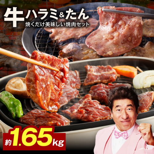 【定期便】牛ハラミ肉 ＆ 牛たん 総量 1.65kg【大人気の食べ比べ  ハラミ 牛タン 小分け 牛肉 焼肉セット BBQ 訳あり サイズ不揃い 2026年2月＆5月発送 全2回】 099Z441 2445814 - 大阪府泉佐野市
