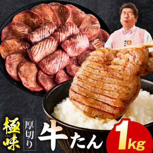 【定期便】厚切り 牛たん 1kg×全2回【氷温熟成×旨塩ダレ 牛タン 小分け 500g×2P 牛肉 焼肉用 訳あり サイズ不揃い 規格外 2026年2月＆5月発送】 mrzZ056 2445829 - 大阪府泉佐野市