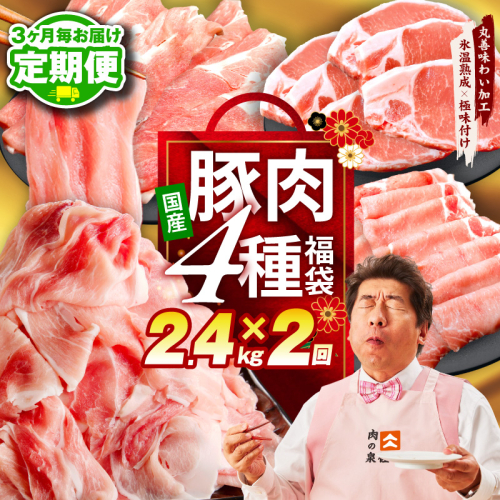 【定期便】国産豚肉 4種 2.4kg×全2回【氷温熟成×極味付け 小分け 300gパック ぶたにく 普段使い 野菜炒め 切り落とし 訳あり サイズ不揃い 2026年3月＆6月発送】 mrzZ072 2445845 - 大阪府泉佐野市