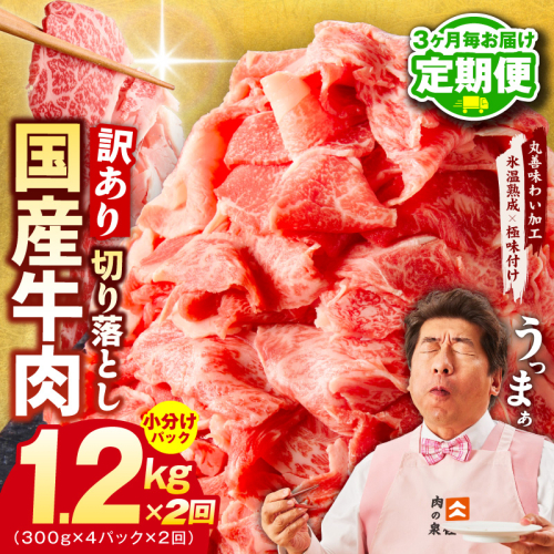 【定期便】国産牛 切り落とし 1.2kg×全2回【氷温熟成×極味付け 小分け 300g×4P 国産 牛肉 訳あり サイズ不揃い カレー 牛丼 家計応援 2026年3月＆6月発送】 mrzZ078 2445851 - 大阪府泉佐野市