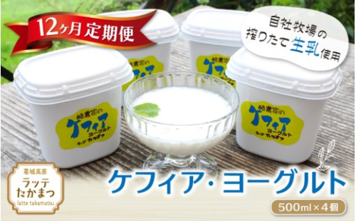 【12ヵ月定期便】ケフィア・ヨーグルト500ml×4個 ／ 葛城 高原 牧場 ケフィア ヨーグルト【latt-tkb014】 2445861 - 奈良県葛城市