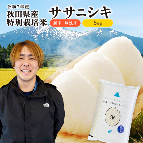 【令和7年産新米】栽培期間中 農薬・化学肥料不使用 【無洗米】特別栽培米ササニシキ5kg×1 2445869 - 秋田県にかほ市