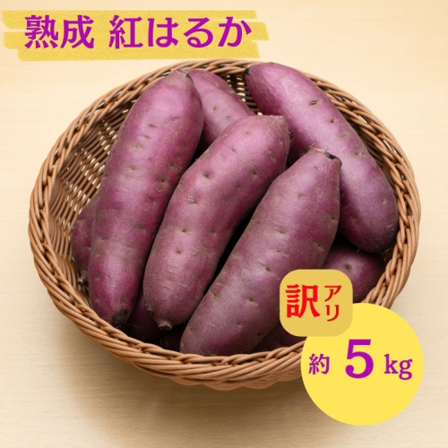 にかほ市 象潟町 大須郷産「 さつまいも 2ヶ月 熟成 紅はるか 不揃い 5kg 」【 産地直送 国産 芋 おいも 定番 焼き芋 イモ 野菜 不揃い 長期熟成 秋田県 にかほ】 2445874 - 秋田県にかほ市