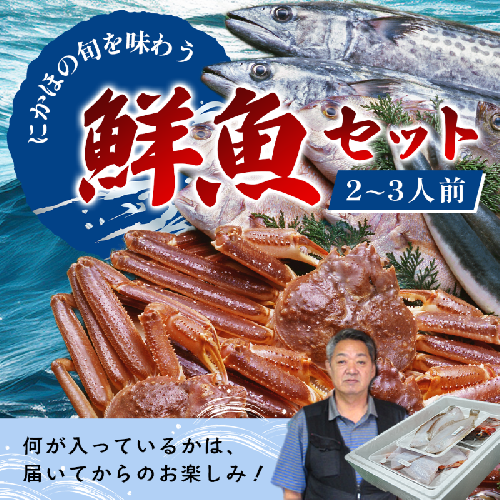 鮮魚 冷蔵 クール便「 開けたらすぐ食べられる下処理済み 海産物 2～3人前 セット 」さとう鮮魚店【 パック 詰め合わせ 海鮮セット 鮮魚ボックス 海鮮 海の幸 魚介 魚介類 刺身 切り身  秋田県 にかほ 】 2445881 - 秋田県にかほ市