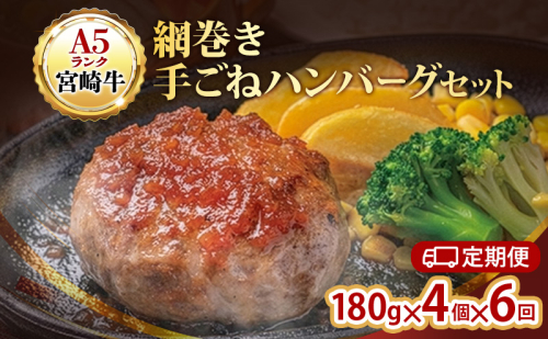 ハンバーグ 定期便 6ヶ月 A5ランク 宮崎牛 180g 4個 セット マ・メゾン 国産 工場直売 惣菜 食品 2445903 - 愛知県日進市