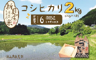 【令和7年産】新見庄米 コシヒカリ 白米 2kg （2kg×1袋）定期便6回 1か月に1回
