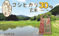 【令和7年産】新見庄米 コシヒカリ 玄米 30kg （30kg×1袋）