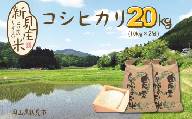 【令和7年産】新見庄米 コシヒカリ 白米 20kg （10kg×2袋）