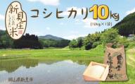 【令和7年産】新見庄米 コシヒカリ 白米 10kg （10kg×1袋）