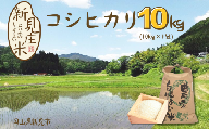 【令和7年産】新見庄米 コシヒカリ 白米 10kg （10kg×1袋）