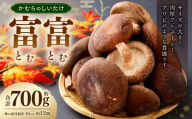 かむらのシイタケ富富 約700g 【2026年1月下旬まで発送予定】 椎茸 しいたけ シイタケ きのこ キノコ 冷蔵 国産