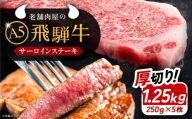 [通常配送]飛騨牛 サーロインステーキ (A5ランク) 1パック (250g×5枚) / 飛騨牛 サーロインステーキ サーロイン ステーキ A5ランク 和牛 国産 霜降り ブランド牛肉 牛肉 / 恵那市 / 岩島屋 [AUAJ013]