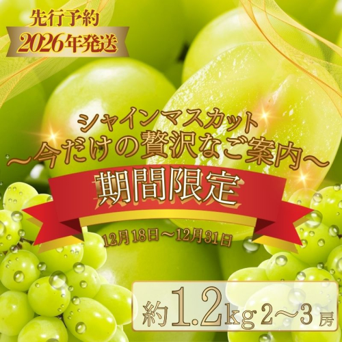 【期間限定】【数量限定】 シャインマスカット スペシャルサンクス約1.2kg（2～3房）【2026年先行予約】 2446108 - 山梨県都留市