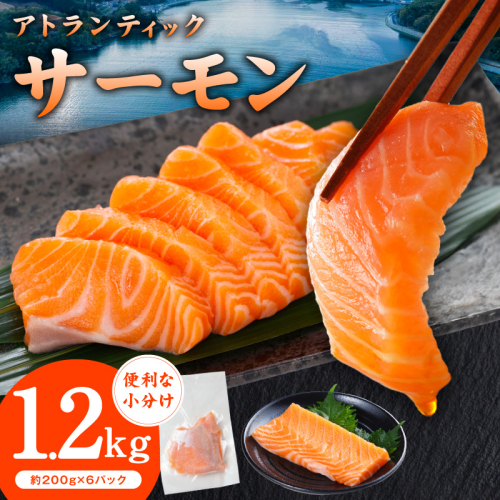 アトランティックサーモン 1.2kg【小分け 200g×6P 柵切り 刺身 魚介 海鮮 さーもん 生食】 G3561 2446115 - 大阪府泉佐野市