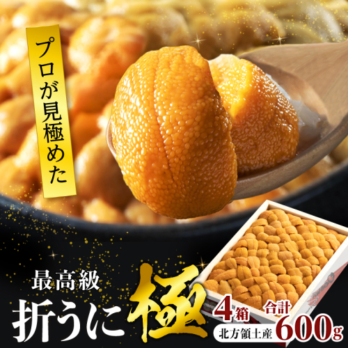 ≪プロ厳選≫最高級折うに(極)計600g うに ウニ 雲丹 折うに 海鮮 海産物 北海道 浜中町 ふるさと納税 人気_H0014-003 2446139 - 北海道浜中町