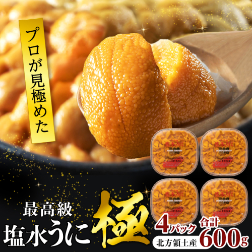 ≪値上げ予定≫≪プロ厳選≫最高級塩水うに(極)計600g うに ウニ 雲丹 塩水うに 海鮮 海産物 北海道 浜中町 ふるさと納税 人気_H0014-006 2446145 - 北海道浜中町
