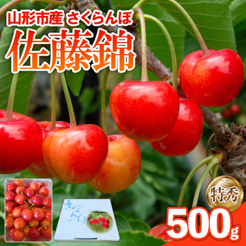 さくらんぼ 佐藤錦 500g 特秀 【令和8年産先行予約】FS25-143 2446284 - 山形県山形市