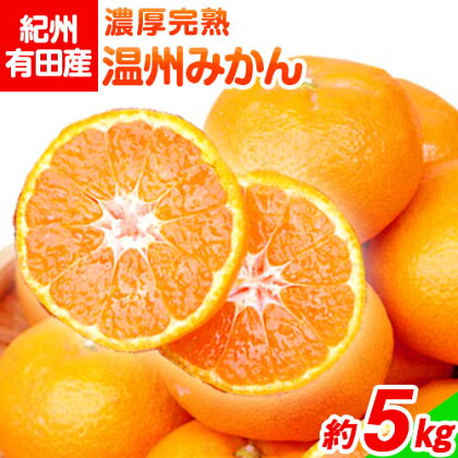 【先行予約】紀州有田産 濃厚完熟温州みかん 約5kg 魚鶴商店《2026年11月下旬-2027年1月下旬頃出荷》 和歌山県 日高川町 みかん 温州みかん 完熟 濃厚 柑橘 2446295 - 和歌山県日高川町