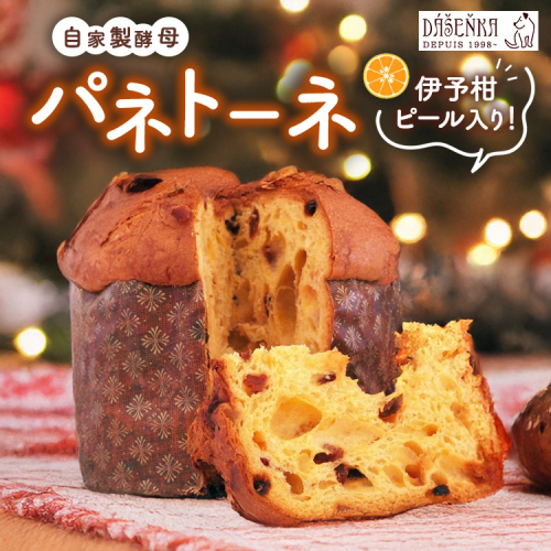 自家製酵母使用のパネトーネ！！ 1個入り ｜ お菓子 おやつ 2446299 - 愛知県幸田町