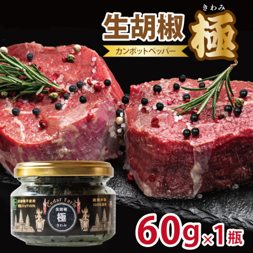 生胡椒 極(きわみ) 60g×1本【能登の塩 コショウ こしょう カンポットペッパー スパイス カンボジア】 099H4173 2446301 - 大阪府泉佐野市