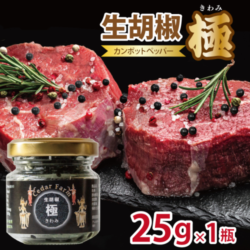 生胡椒 極(きわみ) 25g×1本【能登の塩 コショウ こしょう カンポットペッパー スパイス カンボジア】 005A747 2446302 - 大阪府泉佐野市