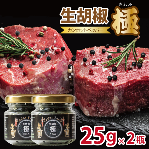 生胡椒 極(きわみ) 25g×2本【能登の塩 コショウ こしょう カンポットペッパー スパイス カンボジア 圧倒的企業努力】 010B1821-1 2446303 - 大阪府泉佐野市