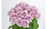 【単色：紫系】山形の名産！ バラ 20本 （長さ60cm）　018-K-MM034-violet