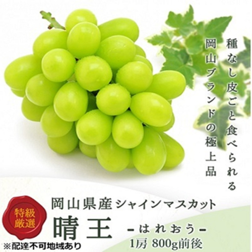 ぶどう 2026年 先行予約 シャイン マスカット 晴王 1房 800g前後 ブドウ 葡萄  岡山県産 国産 フルーツ 果物 ギフト 岡山のブドウ デザート 食べ物 日本産 2446427 - 岡山県高梁市