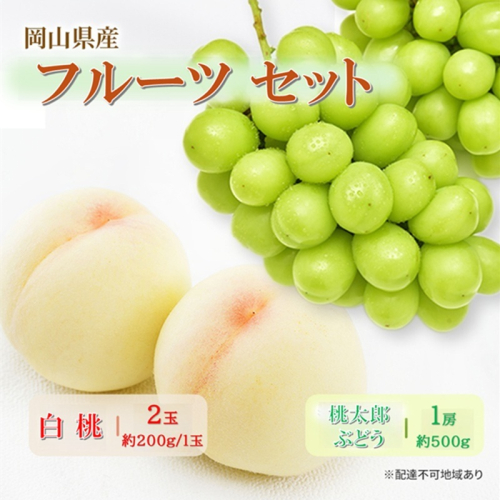 岡山県産 フルーツセット(桃太郎ぶどう1房・白桃2玉)  果物 フルーツ 詰め合わせ ぶどう ブドウ 葡萄 桃太郎ぶどう 桃 白桃 国産 2446437 - 岡山県高梁市