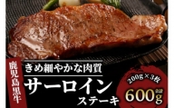 鹿児島黒牛サーロインステーキ3枚セット(JAいぶすき/033-1301)A101
