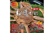 境港産 松葉ガニ500g（活冷）訳あり