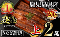 ＜丑の日先行予約受付中！＞無投薬！鹿児島県産うなぎ蒲焼セット＜上＞(計280g以上・ 約140g×2尾) タレ・山椒付き 鰻 ウナギ 国産【西日本養鰻】A1009