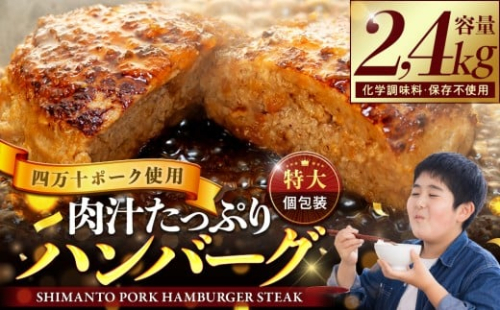 ハンバーグ 四万十ポーク 入り 2.4kg ( 200g × 12個 )  冷凍 真空 小分け 個包装 肉汁 たっぷり 大容量 大きめ 合挽き 牛肉 豚肉 保存料 不使用 ビーフ ポーク 合いびき肉 挽肉 ジューシー お弁当 おかず 惣菜 晩ごはん 贅沢 ギフト 贈り物 贈答 SNM001-1 2447535 - 高知県須崎市