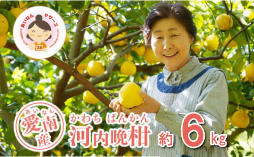 先行予約 河内晩柑 6kg 10000円 みかん かわちばんかん ミカン mikan 愛南ゴールド あいなん ゴールド 家庭用 少量 お試し 文旦 グレープフルーツ 和製 家庭用 産地直送 国産 農家直送 期間限定 数量限定 ビタミン 特産品 ゼリー ジュース 人気 限定 さわやか 甘い フルーツ 果物 柑橘 蜜柑 あいなんマザーズ 愛南町 愛媛県 2447635 - 愛媛県愛南町