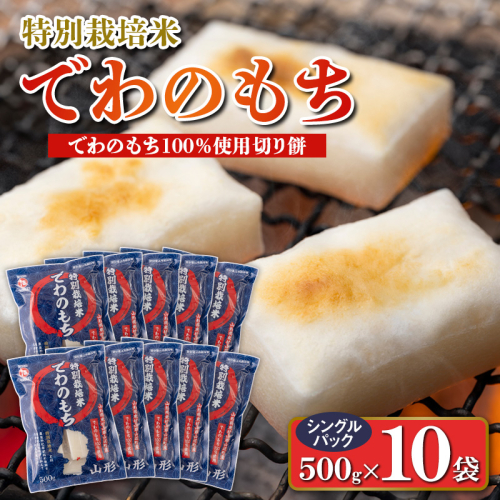 【城北麺工】特別栽培米 でわのもち 500g×10袋 FY25-291 2447637 - 山形県山形市