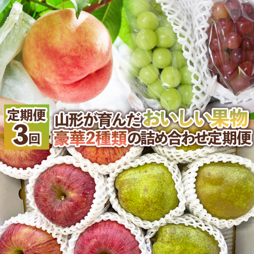【定期便3回】山形が育んだおいしい果物 豪華２種類の詰め合わせ定期便【令和8年産先行予約】FS25-139 2447640 - 山形県山形市