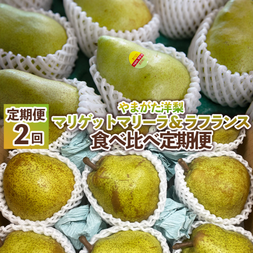 【定期便2回】やまがた洋梨 マリゲットマリーラ＆ラフランス食べ比べ定期便【令和8年産先行予約】FS25-140 2447641 - 山形県山形市