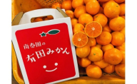 有田みかん 小玉ちゃん 等級混合 2.2kg 小玉2S～4Sサイズ混合 和歌山 南泰園 みかん