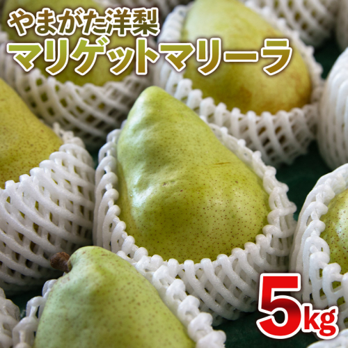 やまがた洋梨 マリゲットマリーラ 5kg【令和8年産先行予約】FS25-142 2447647 - 山形県山形市