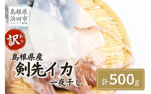 訳あり品でも味は正規品　島根県産剣先イカ一夜干し計500ｇ（5～10枚） 【005_2078】 2447648 - 島根県浜田市