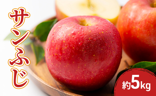 2026年産先行予約サンふじ 5kg 果物 フルーツ りんご 長野県 2447654 - 長野県長野市
